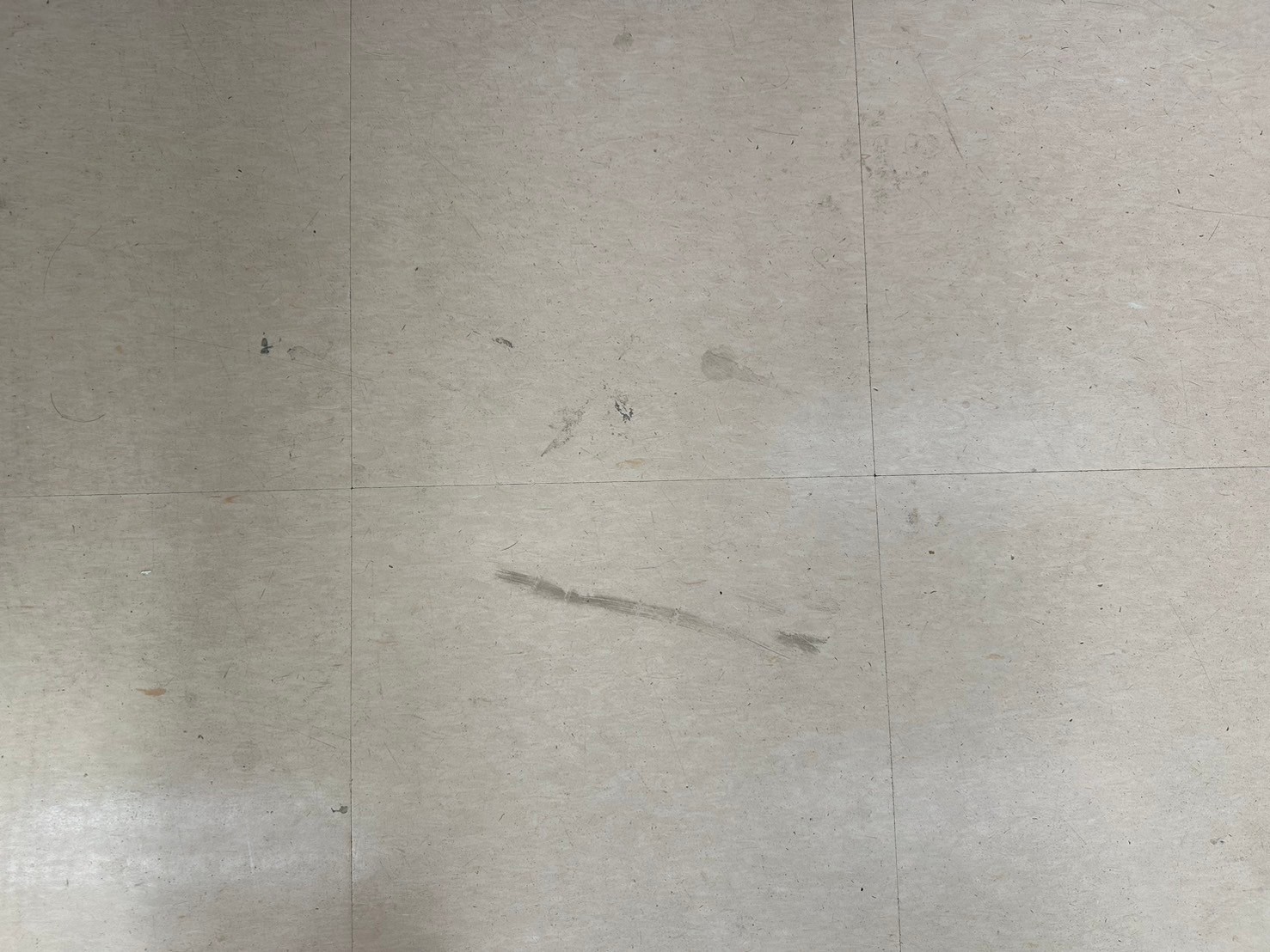 cleaning_germicidal_coating